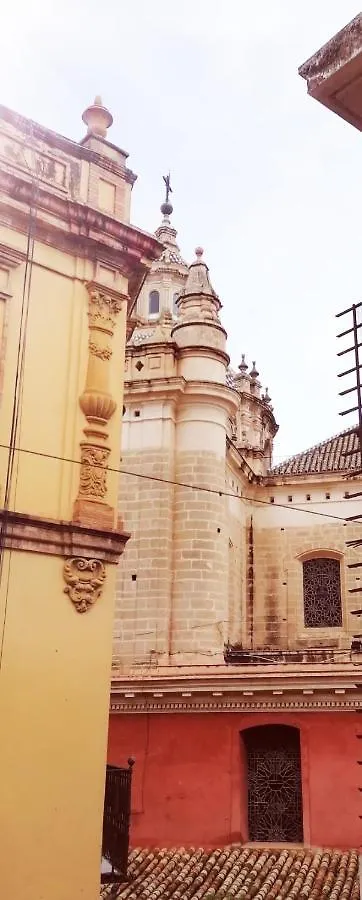Atico Estudio Con Terraza - Centro Sevilla セビリア
